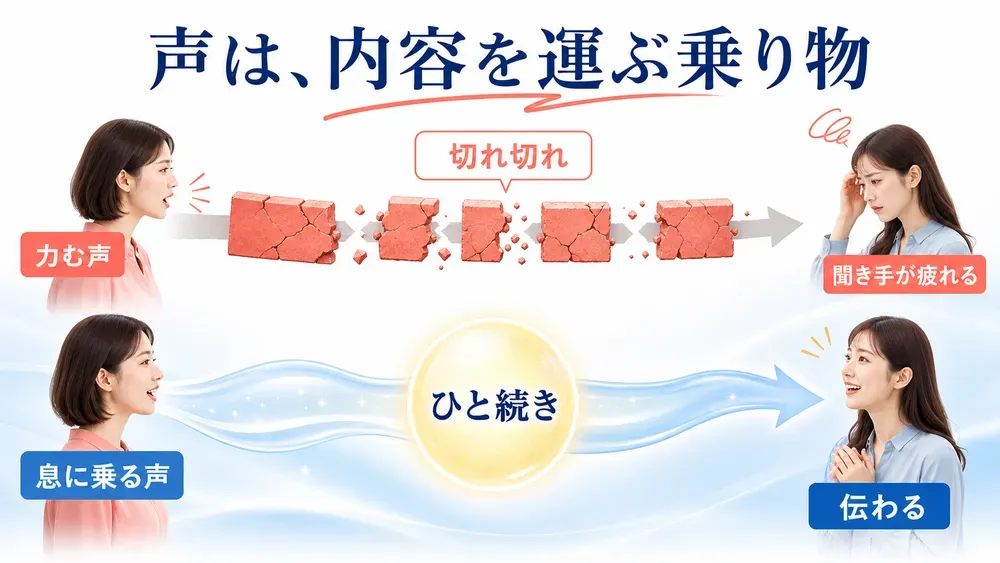 図解